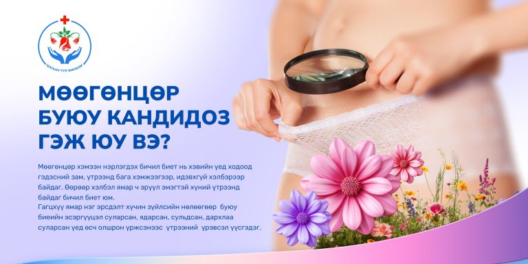 МӨӨГӨНЦӨР- БЗДХ